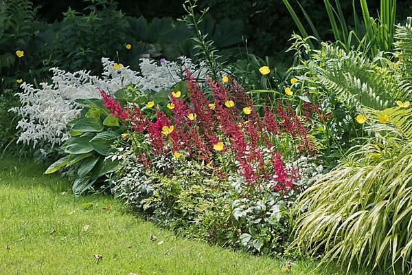 Flowerbed with daisy trees