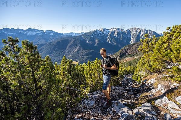 Hiker on path between mountain pines