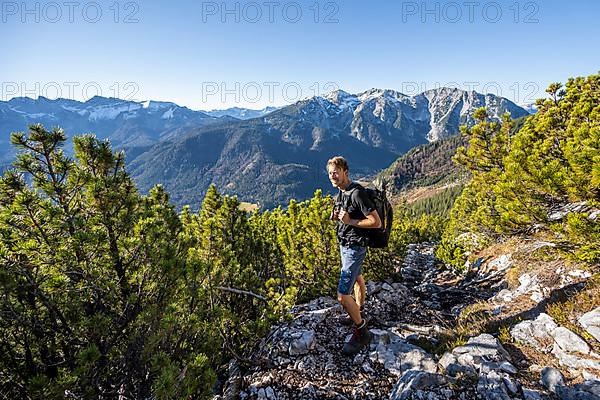 Hiker on path between mountain pines