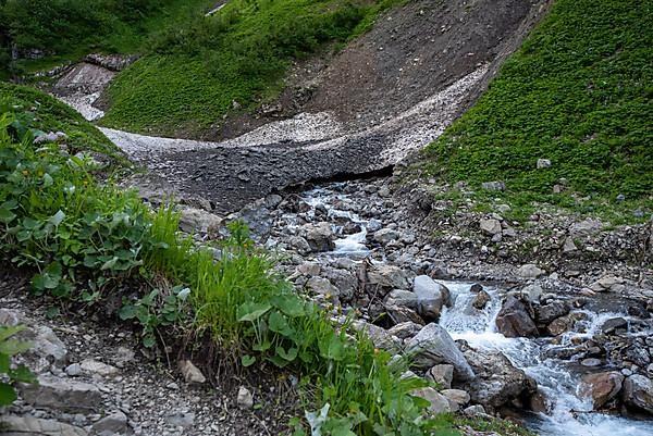 Mountain stream