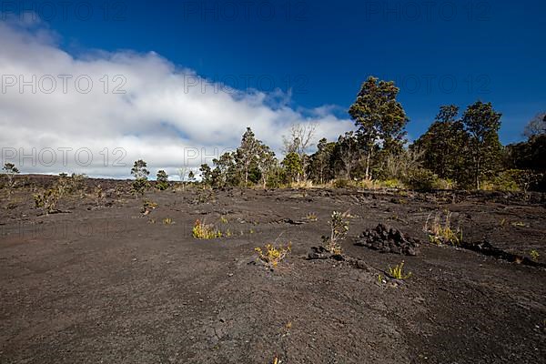View over the lava flow