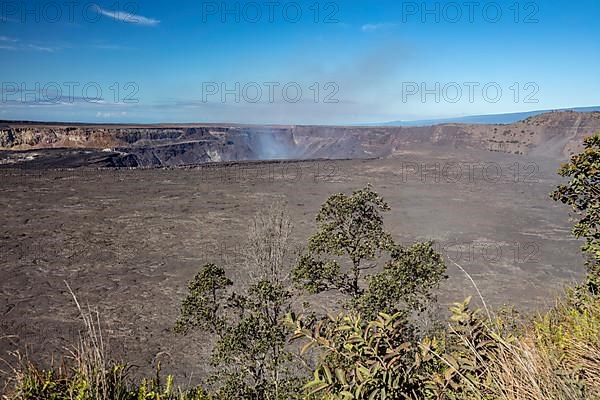 Steam Vents