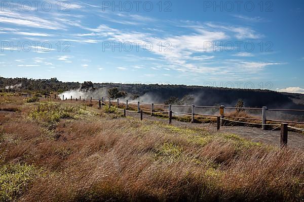 Steam Vents