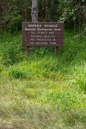 Kipuka Puaulu