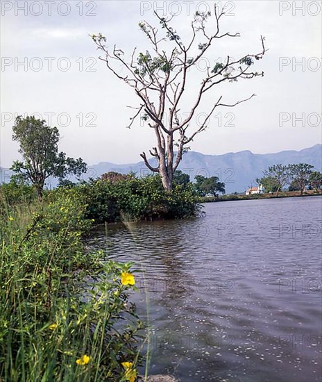 Moyar Lake near Masinagud in Ooty