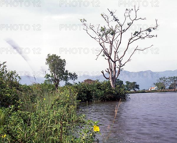 Moyar Lake near Masinagud in Ooty