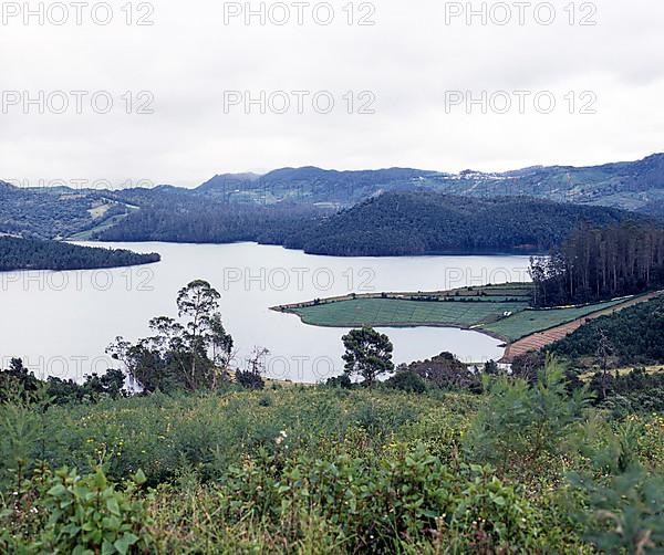 Governar shola and Pykara lake in Nilgiris