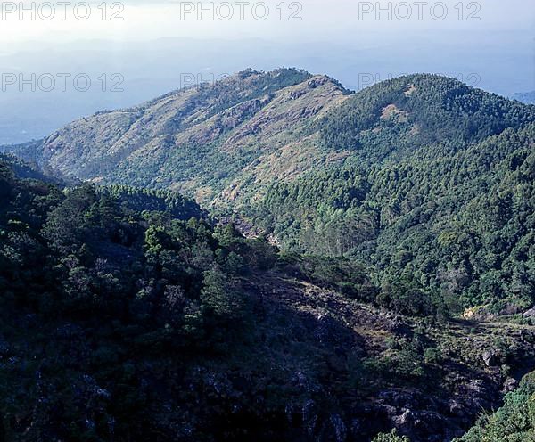 A Hillscape view in Nilgiris