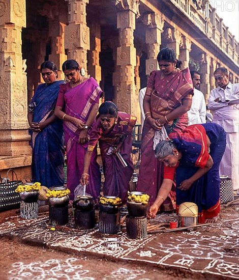 Pongal festival or Sevvai Pongal in Nattarasankottai Village