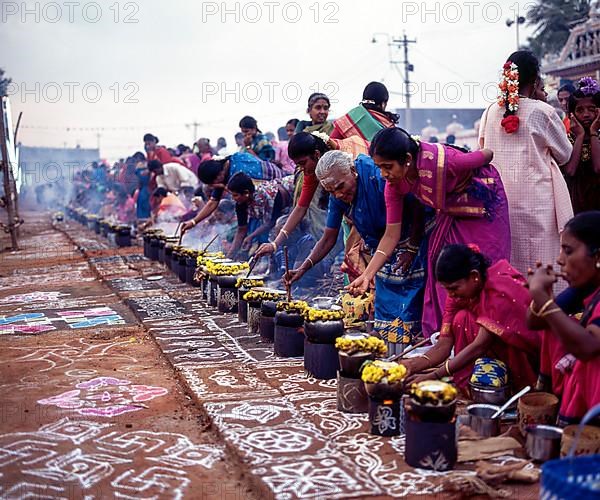Women preparing to celebrate sevvai Pongal in Paganeri Village