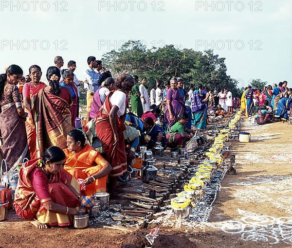 Women gathered for preparing Sevvai Pongal in Paganeri Village