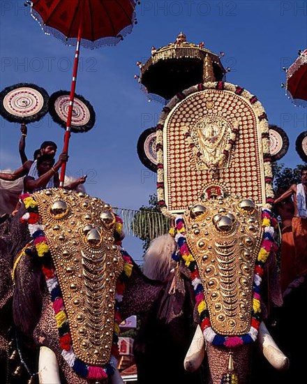 Caparisoned elephants with colorful umbrellas in Pooram festival