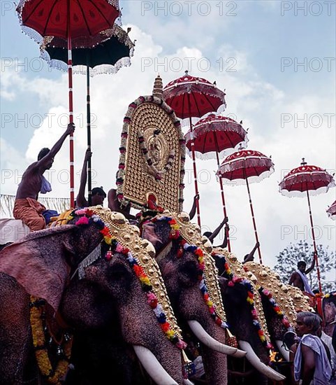 Caparisoned elephants with colorful umbrellas in Pooram festival