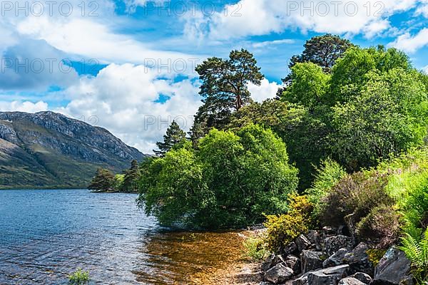 Loch Maree and Slioch