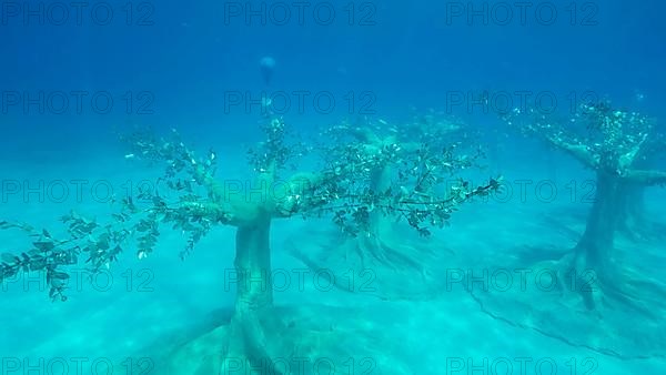 Museum of Underwater Sculpture Ayia Napa