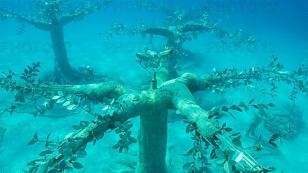 Museum of Underwater Sculpture Ayia Napa