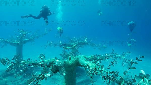 Museum of Underwater Sculpture Ayia Napa