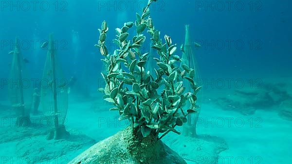 Museum of Underwater Sculpture Ayia Napa