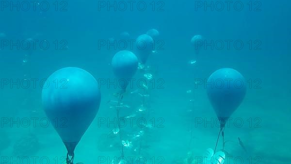 Museum of Underwater Sculpture Ayia Napa