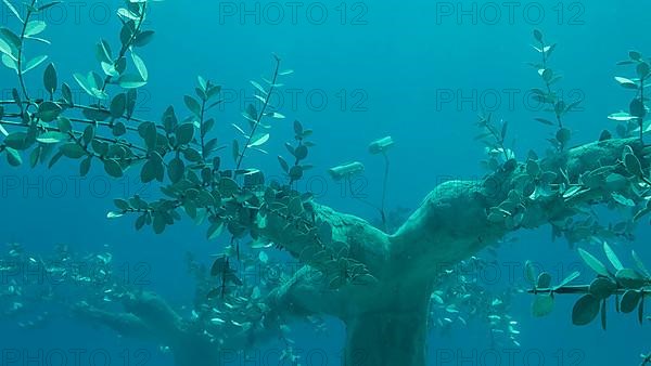 Museum of Underwater Sculpture Ayia Napa