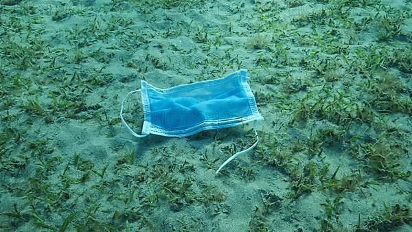 Used face mask lies on sandy bottom covered with green seagrass in sunlight. Discarded face masks polluting seabed since Coronavirus COVID-19. Pollution of Oceans. Red Sea