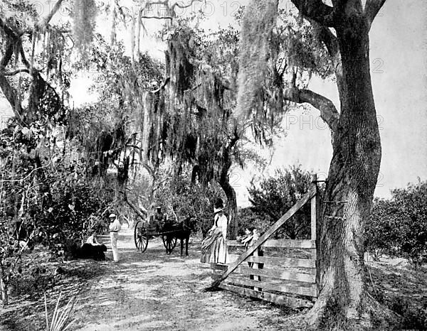 Landscape near the small town of Ormond in the state of Florida