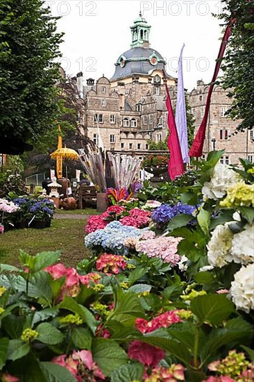 Flowers in front of the castle