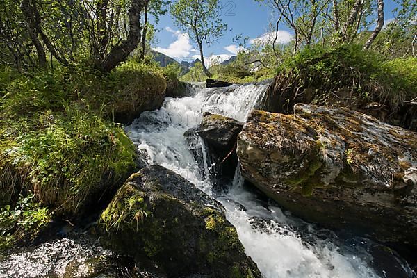 Mountain Stream Photo12 imageBROKER Erhard Nerger