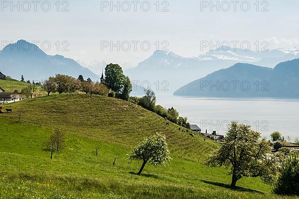 Panorama with lake and mountains