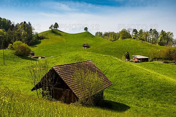 Panorama with huts and hills