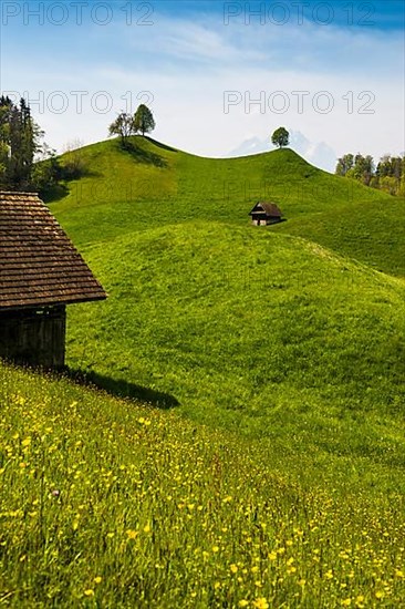 Panorama with huts and hills