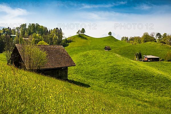 Panorama with huts and hills