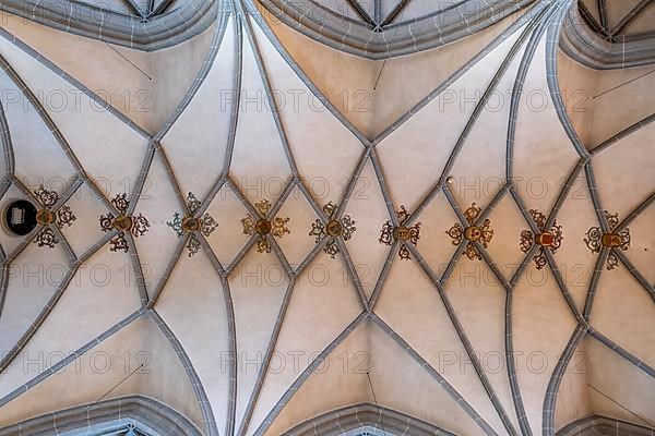 Ceiling vault of the Collegiate Parish Church of St. Philip and St. James