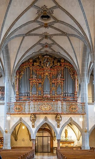 Organ prospect from 1724 with organ from 2000 in the collegiate parish church of St. Philipp and Jakob