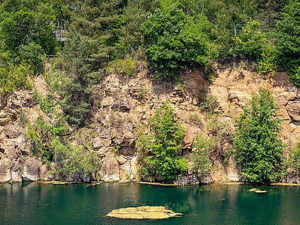 Rock face overgrown with trees at the former quarry