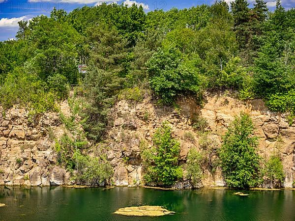 Rock face overgrown with trees at the former quarry