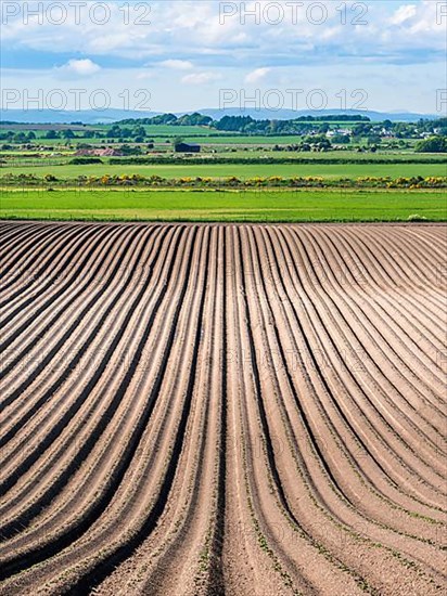 Fields and Farmlands