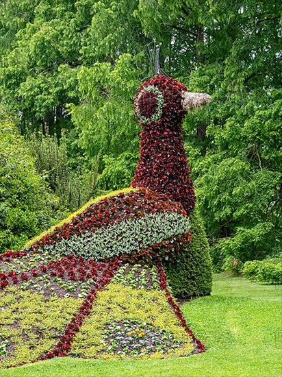 Flower sculpture peacock