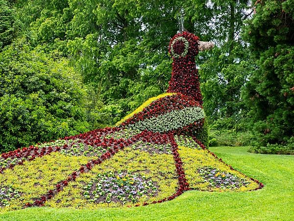 Flower sculpture peacock