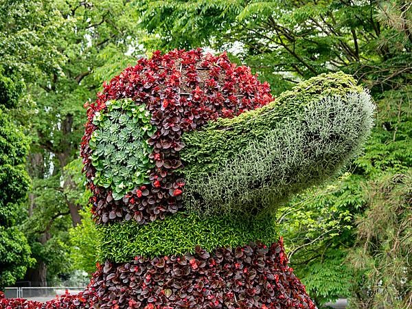 Flower sculpture duck