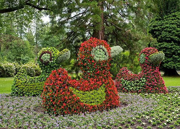 Flower sculpture ducks