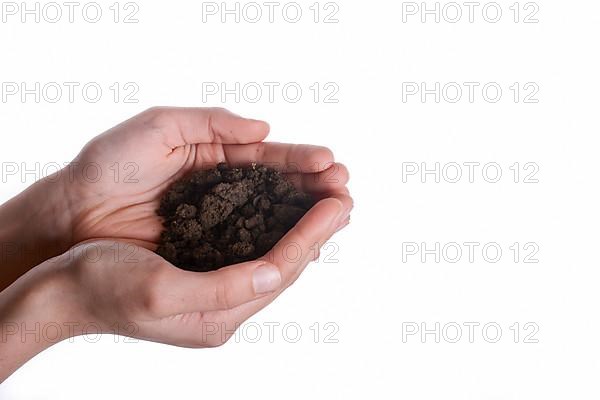 Green tree seedling in handful soil in hand on an isolated background