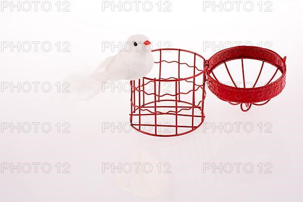 Bird near a red birdcage