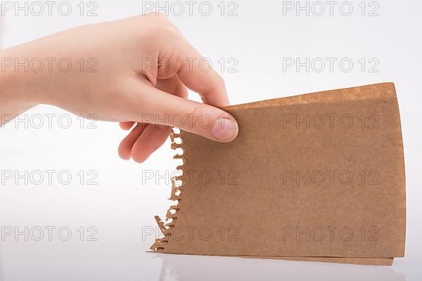 Hand holding a sheet of paper on a white background