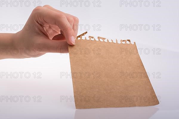 Hand holding a sheet of paper on a white background