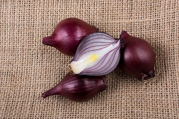 Red onion bulb cut in half on a certain background