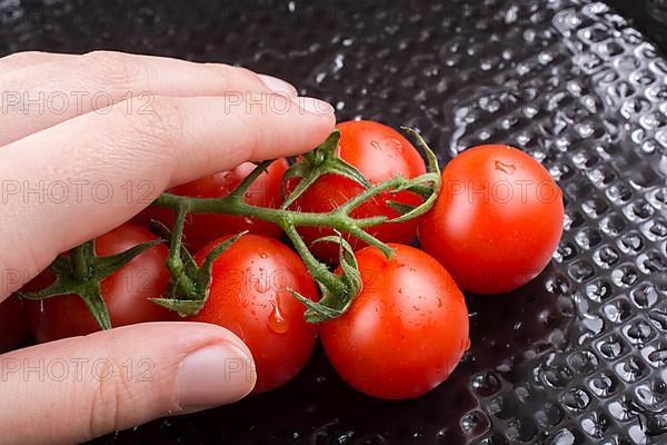 Bunch of red ripe tasty cherry tomatos in hand