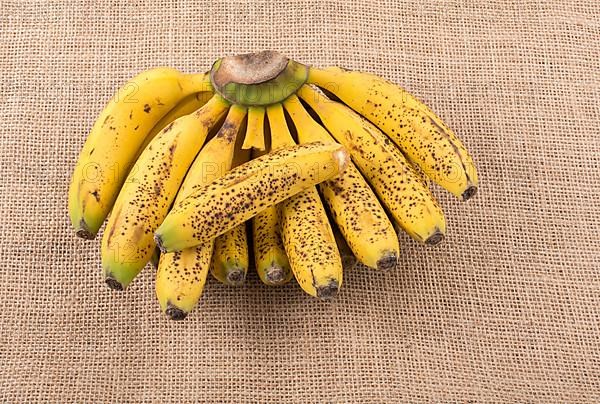 Bunch of yellow freckled bananas on a canvas texture