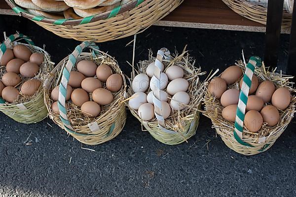 Organic fresh farm eggs in the straw basket