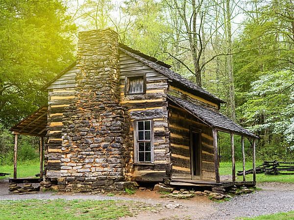 A lonely little house in the woods